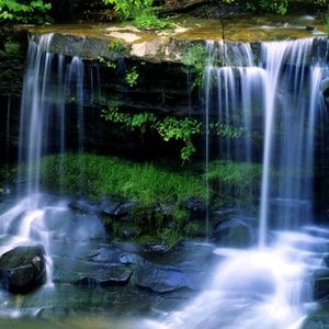 Meet your Posher, Celena